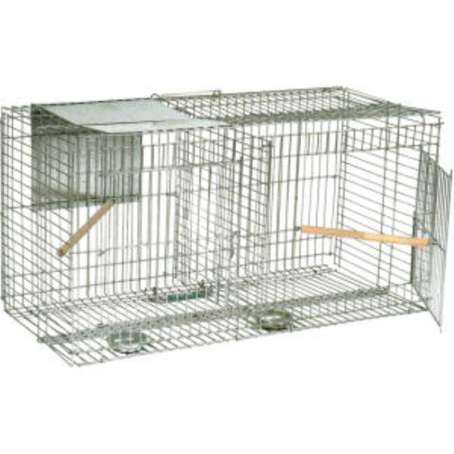 STV Larsen Cage Trap