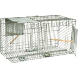 STV Larsen Cage Trap