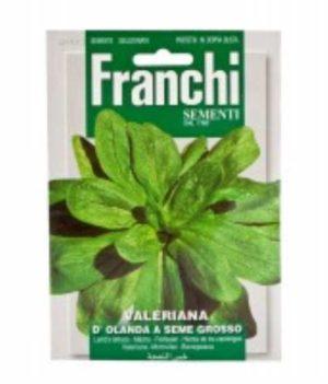 Valeriana seed