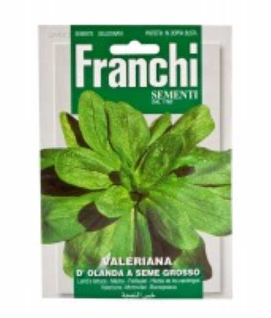 Valeriana seed