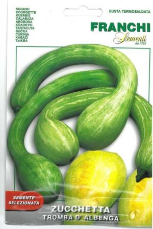 Franchi Squash seed