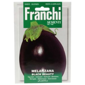 Franchi Aubergine seeds