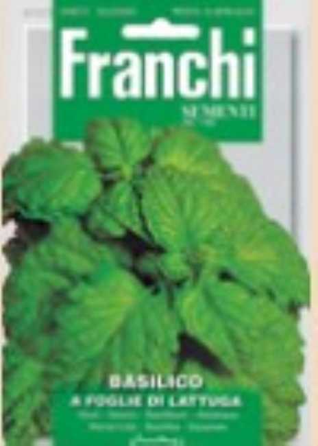 Franchi basil seed